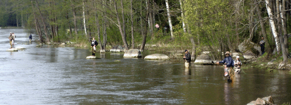 Ловля форели нахлыстом на реке Кюмийоки, Финляндия.
