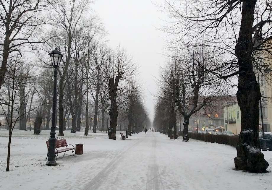 Зимний Выборг