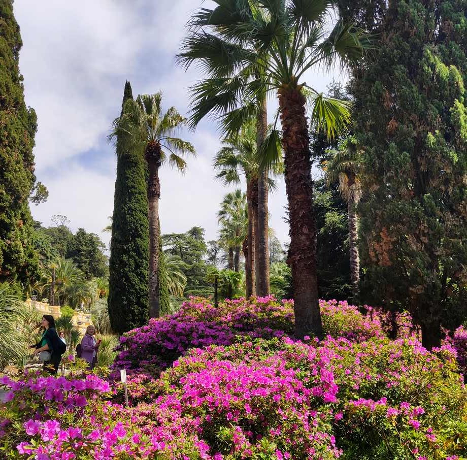 Весна в Сочи в парке
