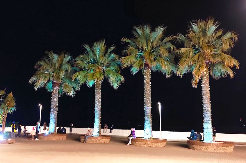 В городе Сочи тёмные Ночи