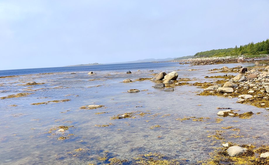 Белое море